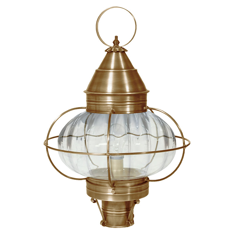 CAGED ONION 2573