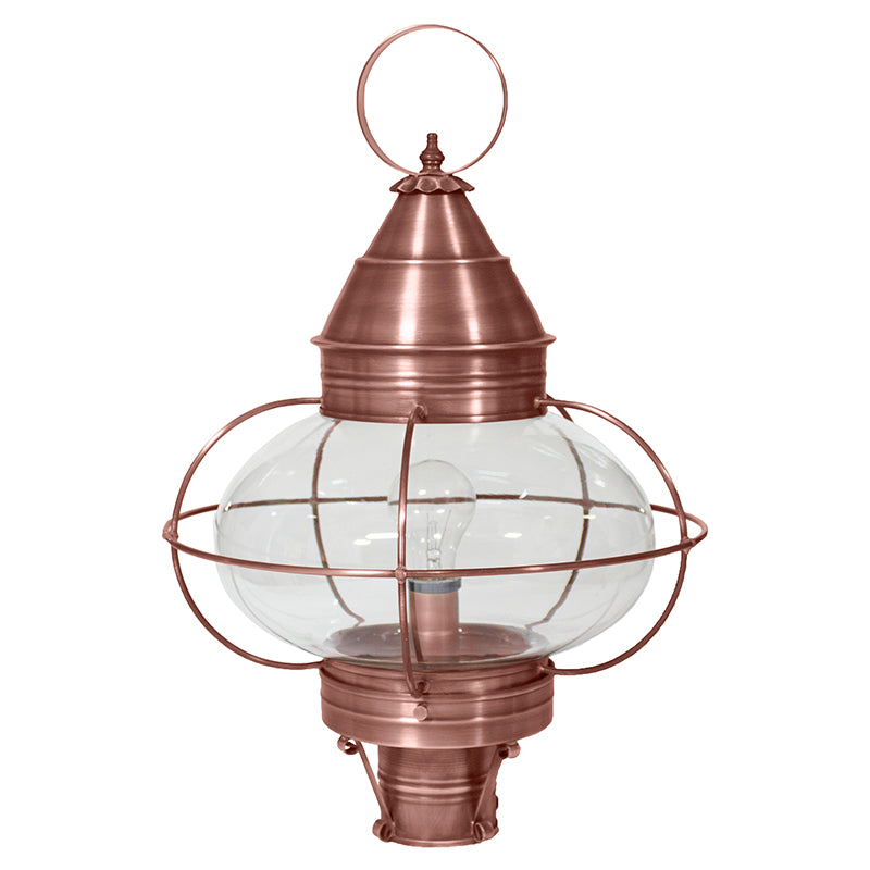 CAGED ONION 2573