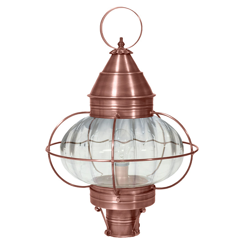 CAGED ONION 2573