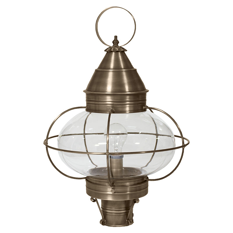 CAGED ONION 2573