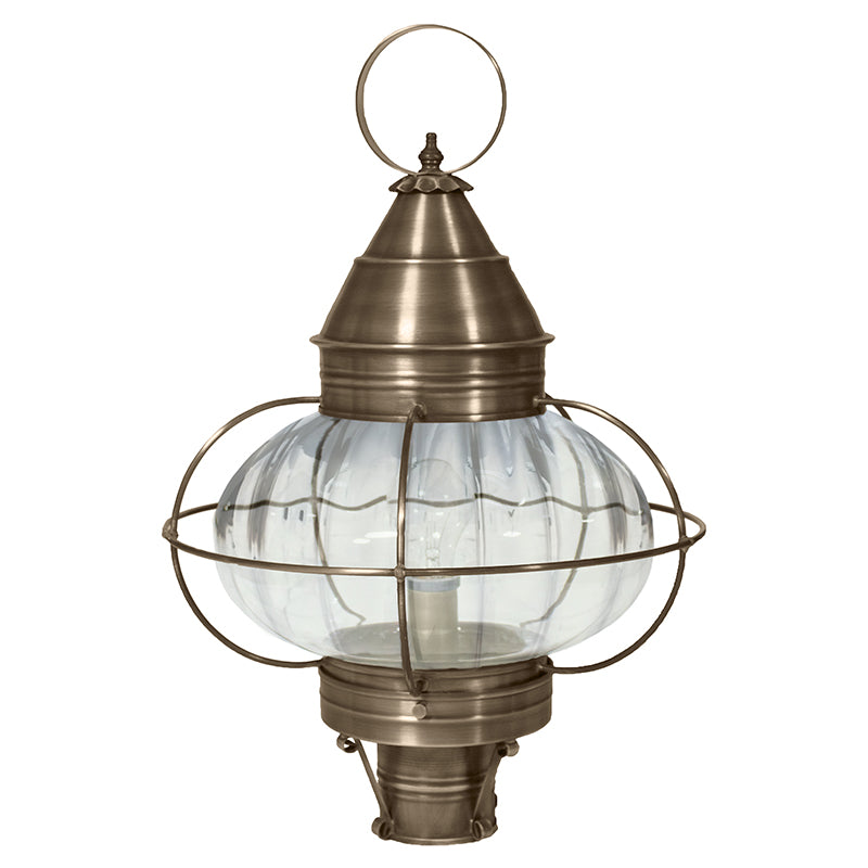 CAGED ONION 2573