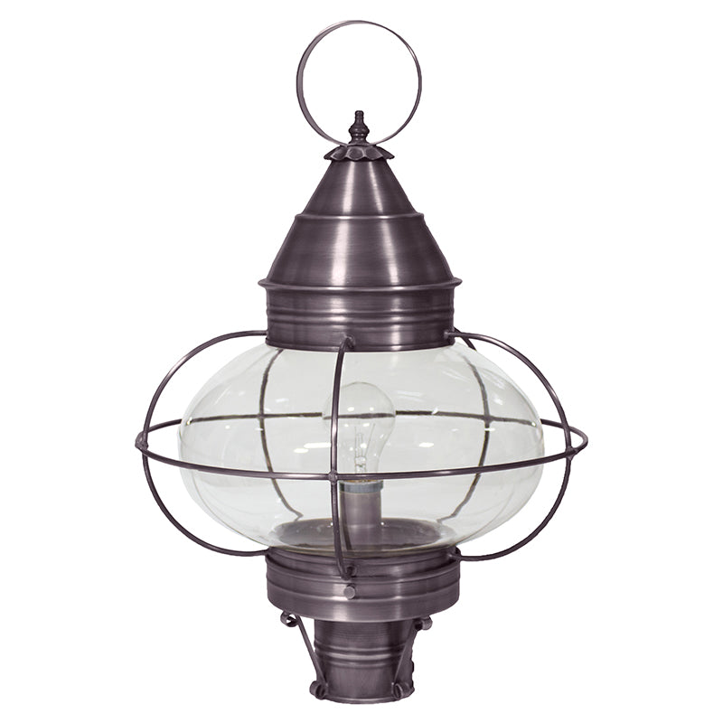 CAGED ONION 2573