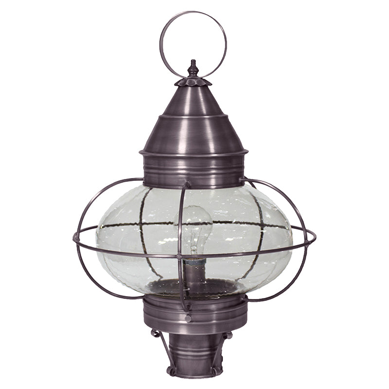 CAGED ONION 2573