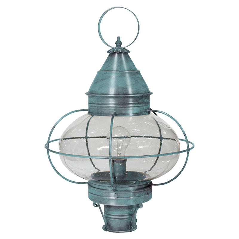 CAGED ONION 2573