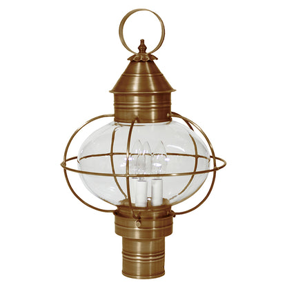 CAGED ONION 2543