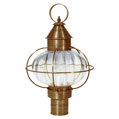 CAGED ONION 2543