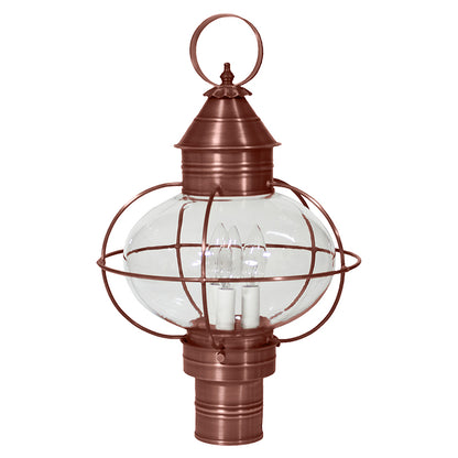 CAGED ONION 2543