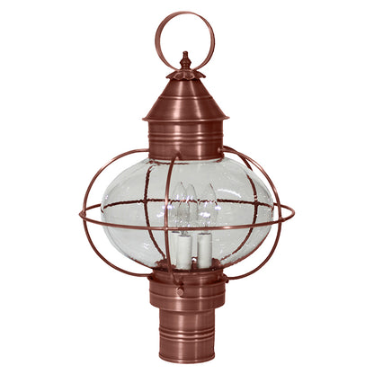 CAGED ONION 2543