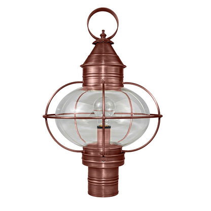 CAGED ONION 2543