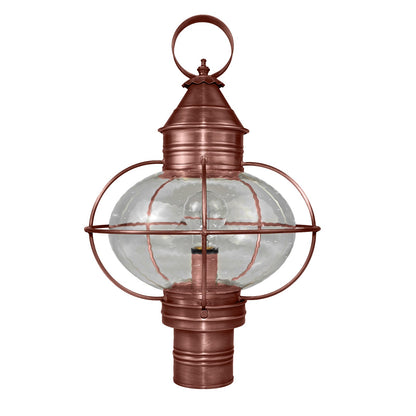 CAGED ONION 2543
