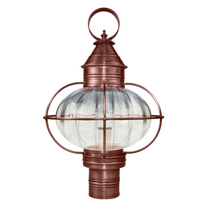 CAGED ONION 2543