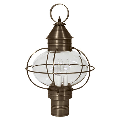 CAGED ONION 2543