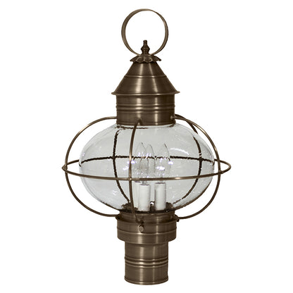 CAGED ONION 2543