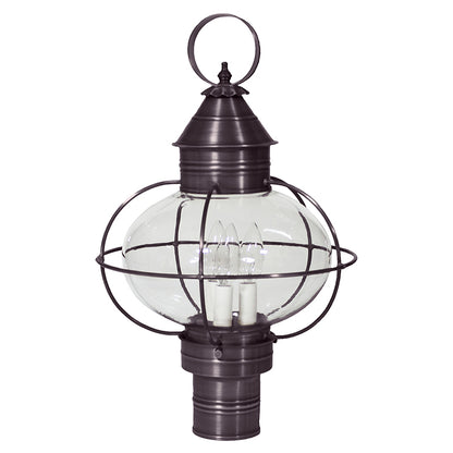 CAGED ONION 2543