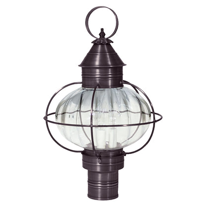 CAGED ONION 2543