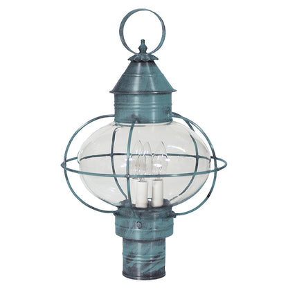 CAGED ONION 2543