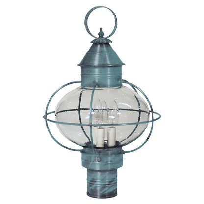 CAGED ONION 2543