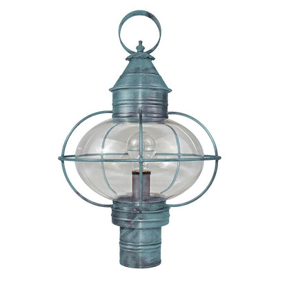 CAGED ONION 2543