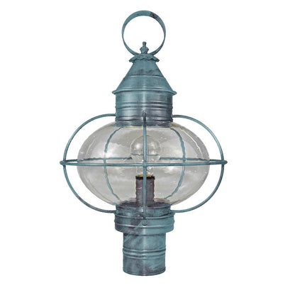CAGED ONION 2543