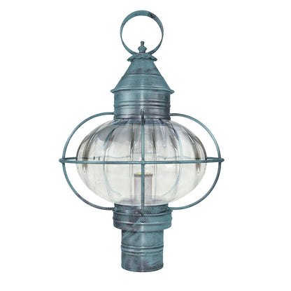 CAGED ONION 2543