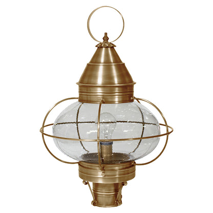 CAGED ONION 2573