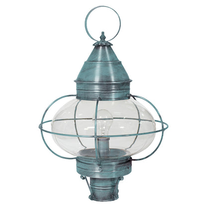 CAGED ONION 2573